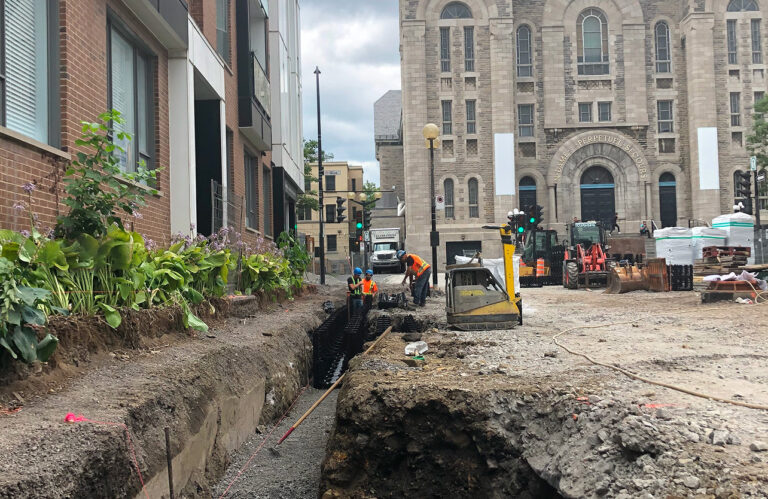 Architecture du paysagement et horticulture