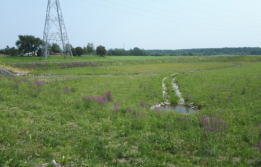 Bassin de rétention 1 an plus tard